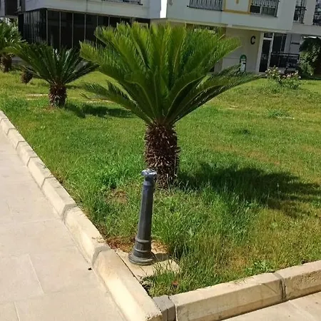 Antalyanin Gozdesi